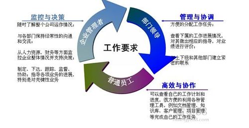 企業(yè)管理軟件的現(xiàn)狀與應用