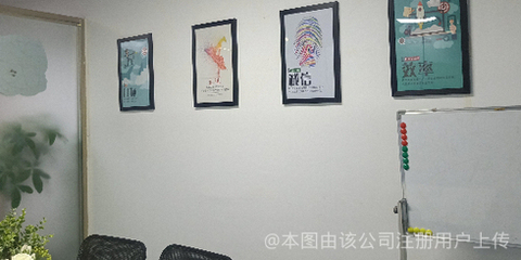 貓頭鷹網絡科技 洞察黑夜，引領未來